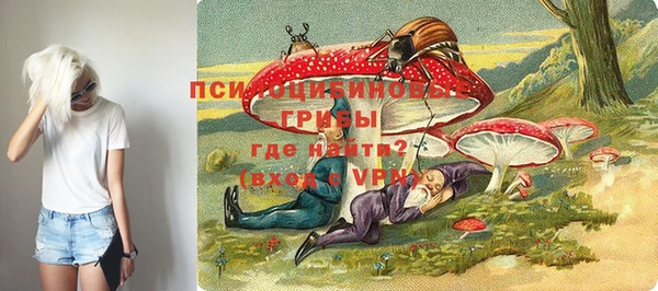 дмт Армянск
