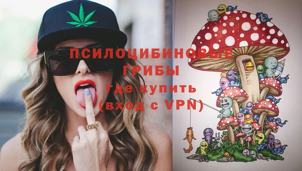 дмт Армянск